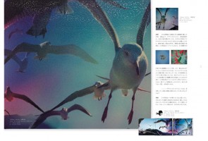 denki-02_ss
